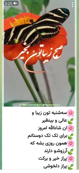 مریم سادات