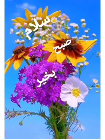 سلام صبح بخیر 🌹🌹🌹🌹