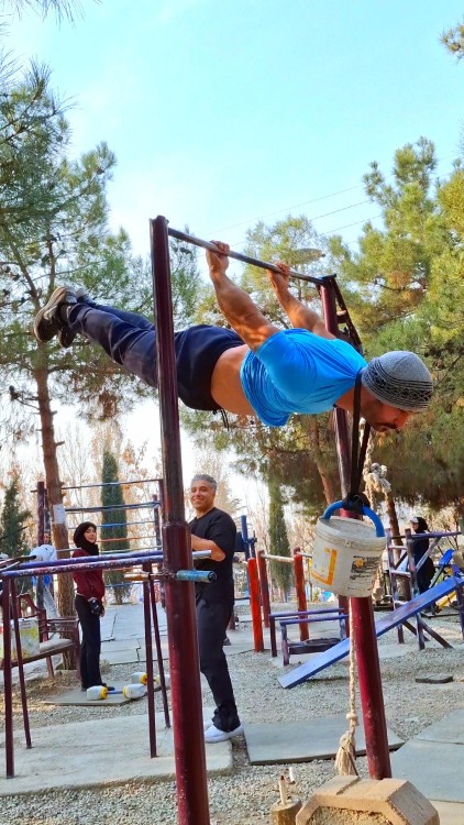 back lever