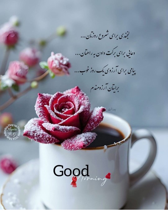 آمین ⚘️ 