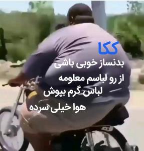 بیشهری