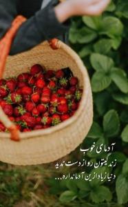 قدر آدمای خوب زندگیتون رو بدونین ....🦋