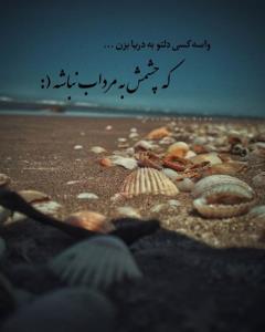 واسه کسی دلتو به دریا بزن که ...