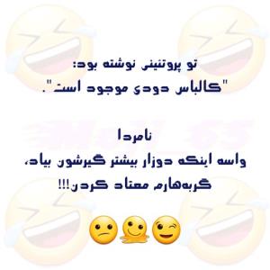 فک کن گربه پا منقل 🤣🤣🤣