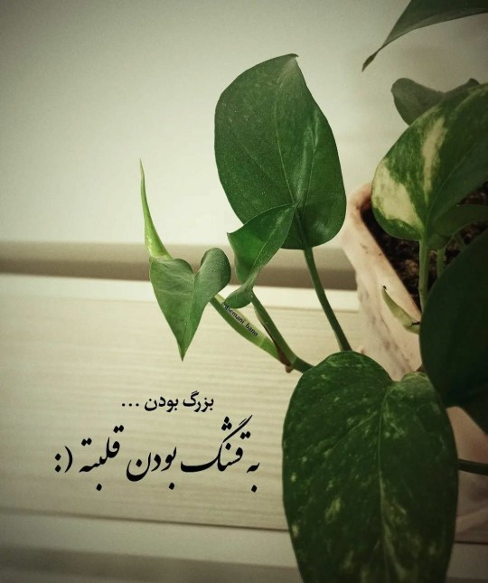 همگی رهگذر هستیم. به کسی کینه نگیرید💫🌷