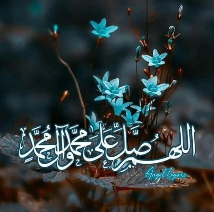 سلام صبحتون با صلوات باشه الهی❤️💜💙