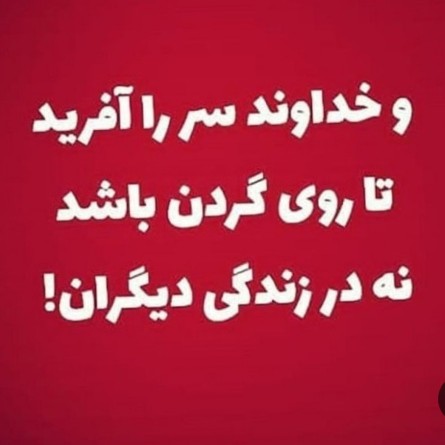 بو قلمون ها. با گردن درازشون اینو میدونند 🤣🤣🤣