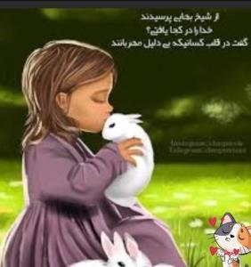 با حیوانات مهربان باشیم 🐇