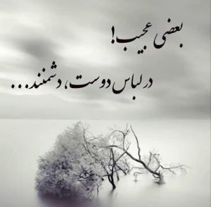 کپشن ...👇🏻..عصرزمستانیتان دلبرانه🦋☕🦋