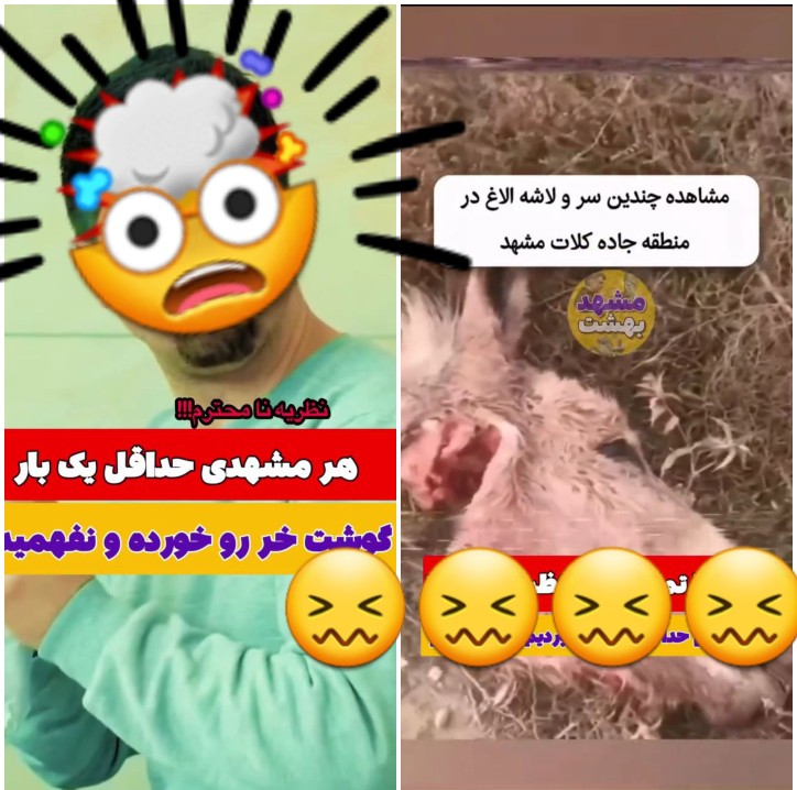 کباب خر در مشهد !!!!👋😖🤯🤣🤣