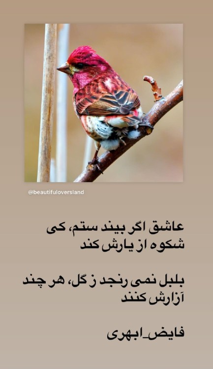 صبوری🫂💘