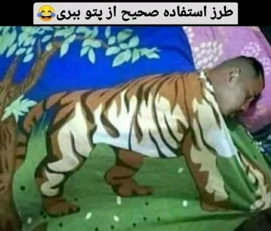 پتوی ببری😁