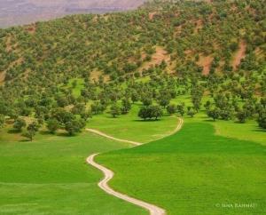 خدایی مگه‌من بهترین کاربر اینجا نیستم?😌😌