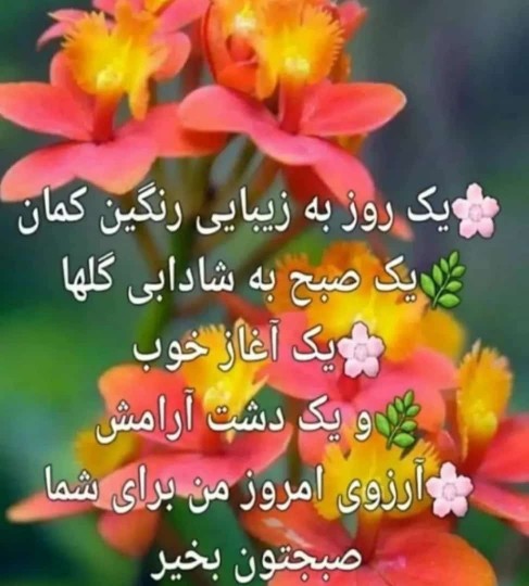 💐روز بخیر خبریا💐