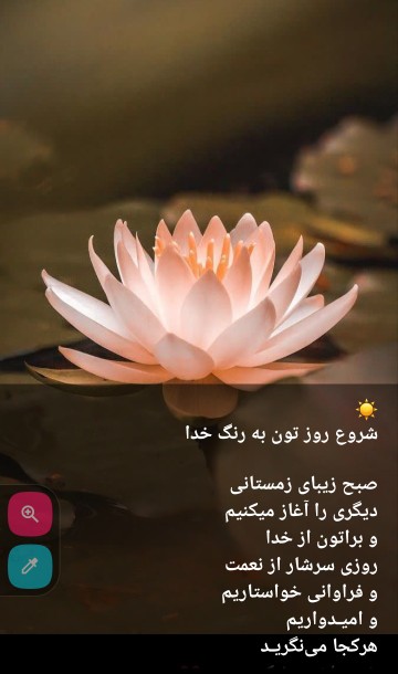 سلام عصر بخیر 🌹💫