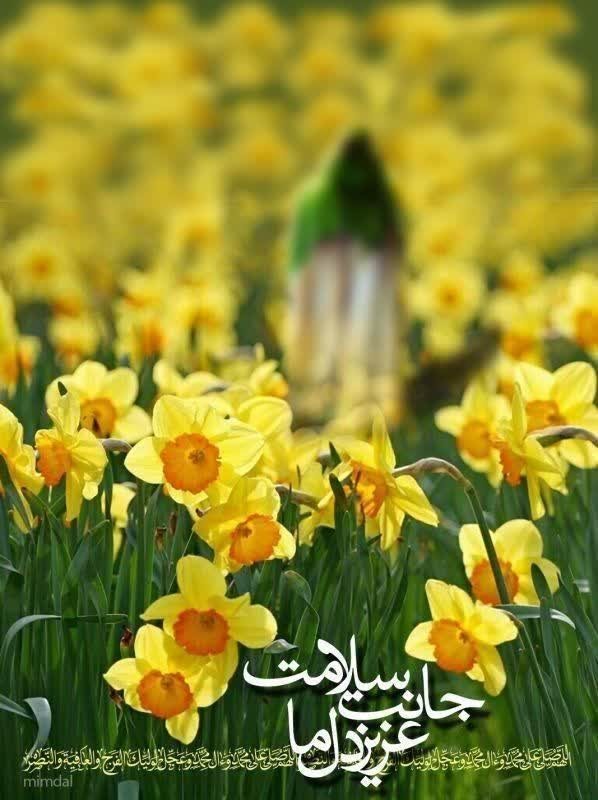 اللهم عجل لولیک الفرج 🌹