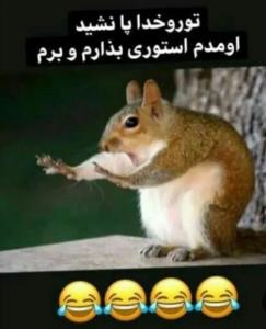 سلام ❤️😂😂