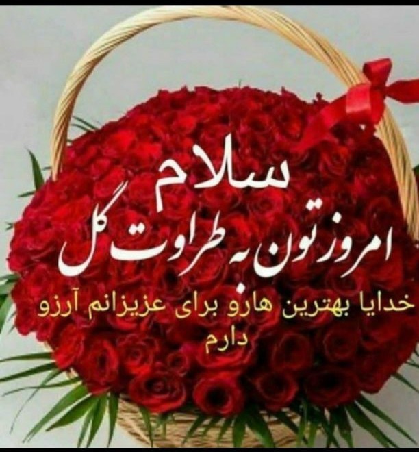 آغازین هفته تان با شادی و نشاط هرچه خیروبرکت نصیبتان🦋🎀🦋