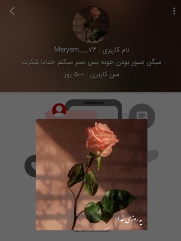 ۵۰۰روزگیت مبارک عزیزم😍خوش بدرخشی🌹