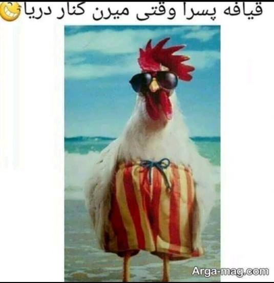 دقیقآ 🤣