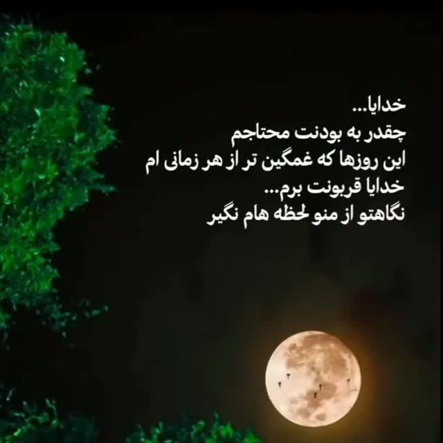 سلام صبحتون بخیر دوستان خبری⚘️⚘️