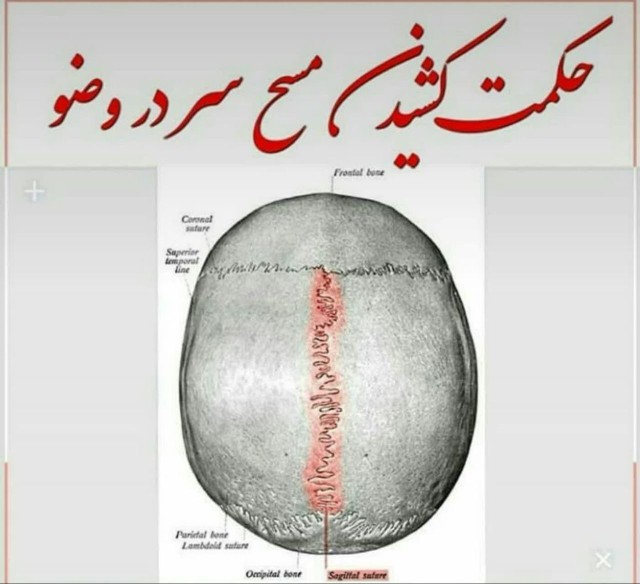 زنگ تفکر،،فتبارک الله احسن الخالقین