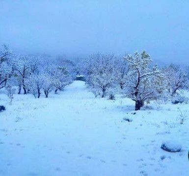 آدما با رفتار حرف‌ می‌زنن، 
دنبال ‌کلمات‌ نباشید...