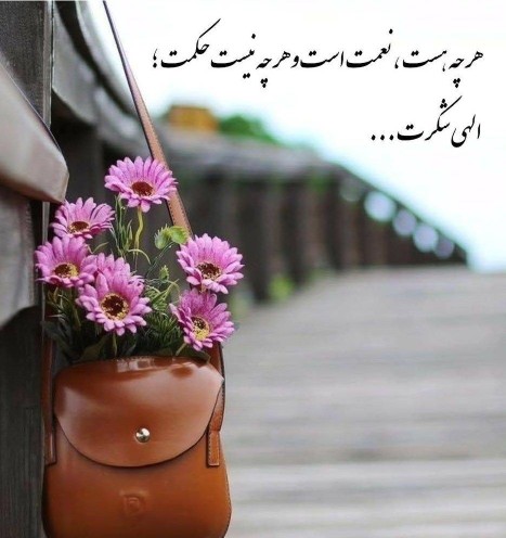 🌺🤲🌺خدایا شکرت🌺🤲🌺امروز خدارو شکر کردی؟