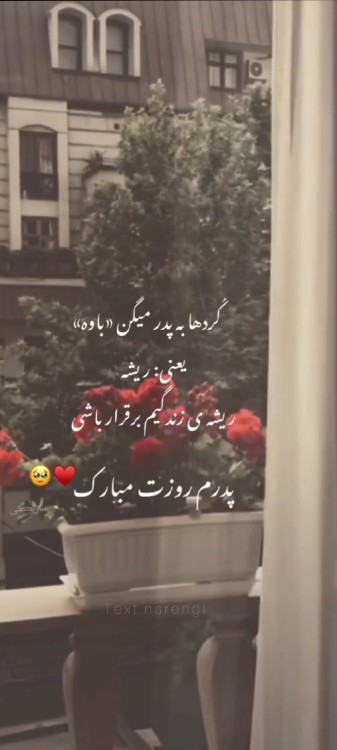 نـازم به خدایی که علی خلق نموده  . . .✨🫀