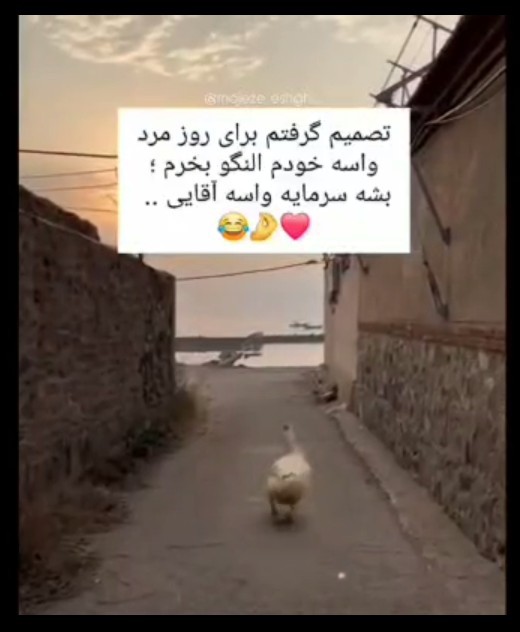 مثل شماها نیستم ،🤭من آینده نگرم ،🤭😂😂😂