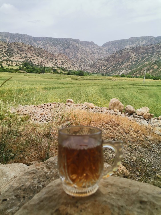 طبیعت روستای جویجان جاوید 