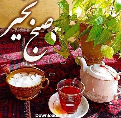 صبحتون با طراوت دوستان گل✋️🍎😊⚘️