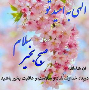 سلام خوبی صبح بخیر الهی به امید تو خدا شکر خدا شکر 