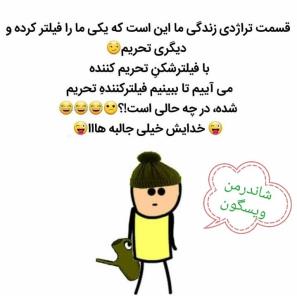 فقط یه ایرانی می‌فهمه چی گفتم😂🤷