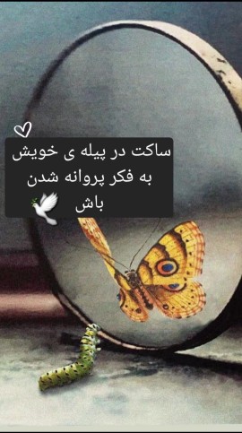 سلام آخر هفته تون بخیر... 🕊