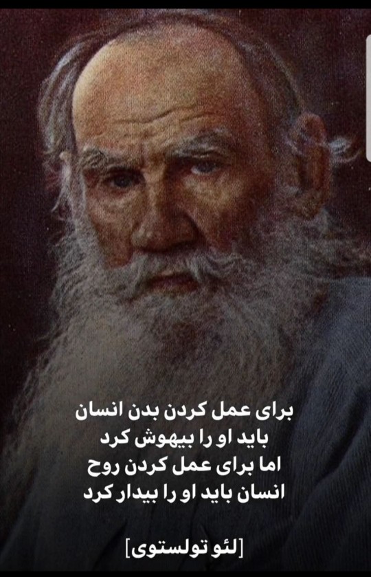 سخن ناب