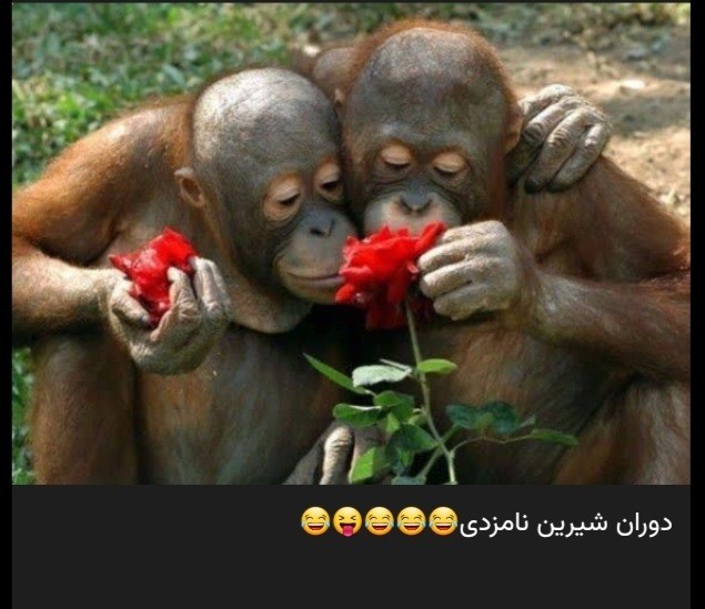 ب وقت خنده😁😁🙃🙈