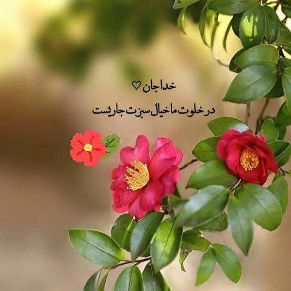 سلام دوستان🌹/ خدایا نگاهت را از ما دریغ مکن