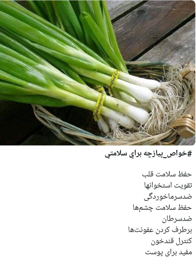 خواص پیازچه برای سلامتی