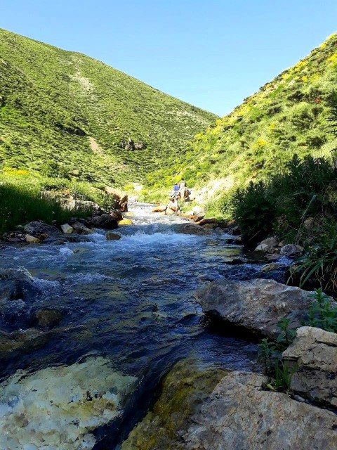 نمکدان را که پُر میکنی
توجهی به ریختن نمکها نداری ...
