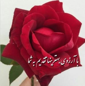 تقدیم به اونایی که تواین چندروزهیچی واسم کم نزاشتن🌹