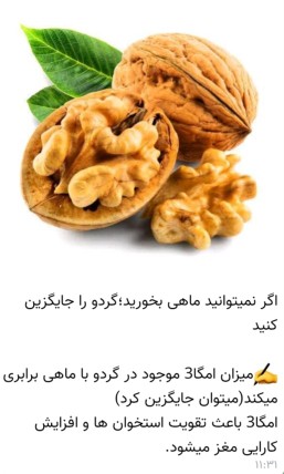 جایگزین ماهی