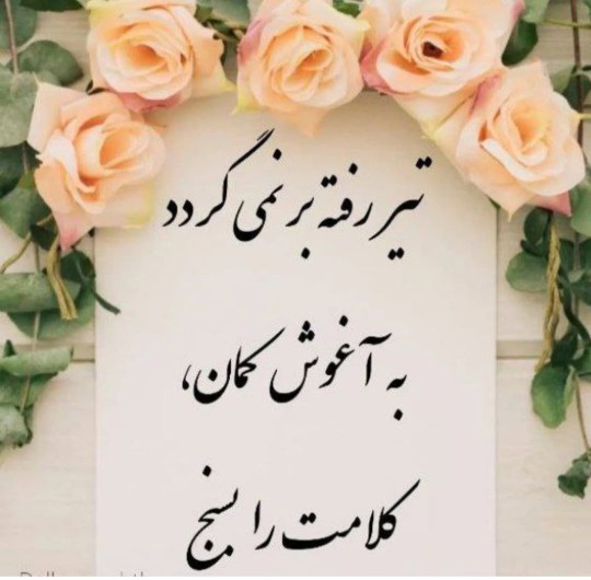 ظهرتون بخیر 🌹🌹🌹🌹