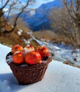 یا ذَالْجَلالِ وَالْاِکْرام 🙏 سلام کاربرای خوب خبری صبحتون 