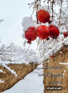 ❄️عصر آخرین روز دے ماہ تون 
❄️بخیر و تندرستے دوستان عزیز☕️💙