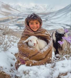 زیبایی زمستان ❄️❄️❄️