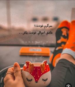 ب امید فردای روشن شب بخیر🌙🌙