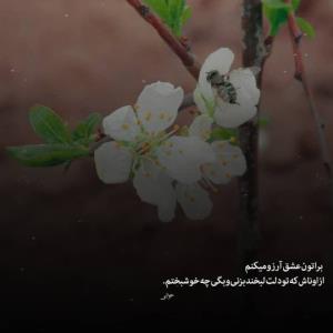 سلام.صبح همگی بخیر🌺🌺🌺