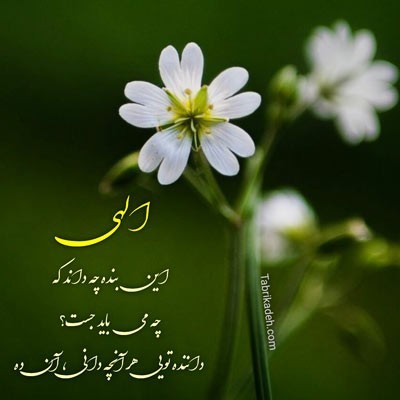 الهی و ربی من لی غیرک