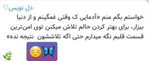 سلام و احترام روزتون بخیر و نیکی 🦋🦋🦋🦋